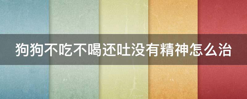 狗狗不吃不喝还吐没有精神怎么治（狗狗不吃不喝还吐没有精神怎么办）