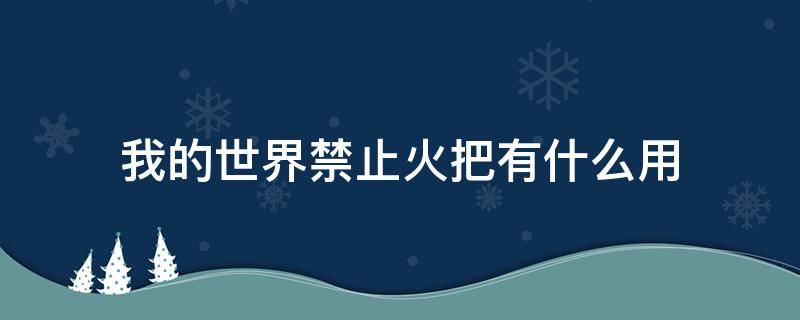 我的世界禁止火把有什么用 我的世界禁止火把是什么