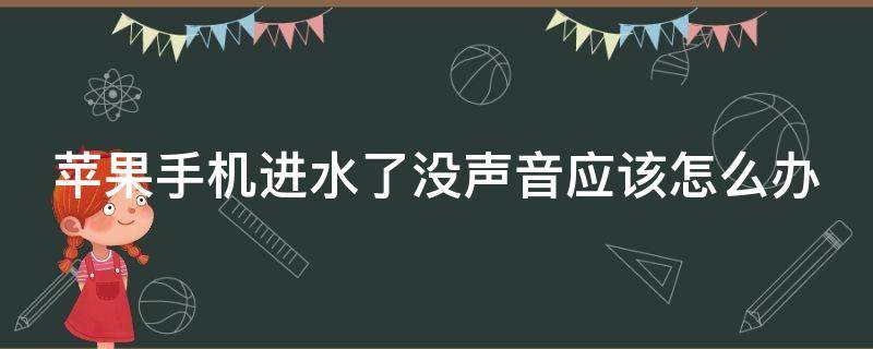 苹果手机进水了没声音应该怎么办（苹果手机进水了没声音应该怎么办呢）