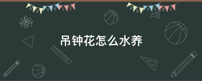 吊钟花怎么水养 吊钟花怎么浇水