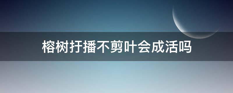 榕树扜播不剪叶会成活吗 榕树为什么不长新叶