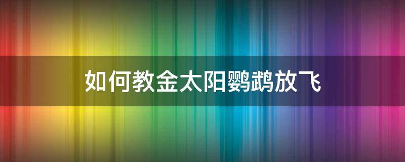 如何教金太阳鹦鹉放飞（手养金太阳鹦鹉教程）