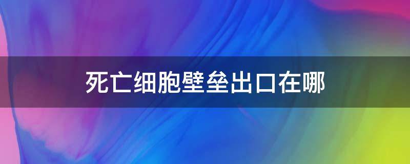 死亡细胞壁垒出口在哪（死亡细胞壁垒出口有几个）