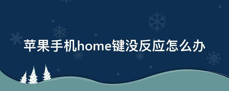 苹果手机home键没反应怎么办（苹果手机home键没有反应怎么办）