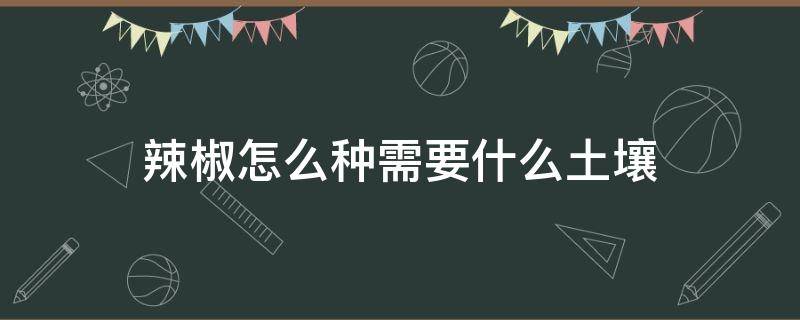 辣椒怎么种需要什么土壤（辣椒生长适合用什么土壤）