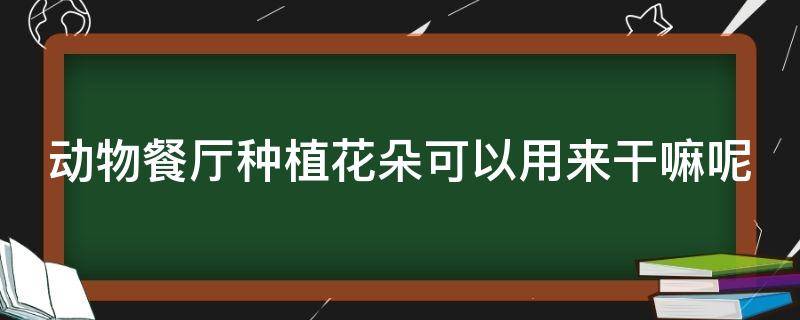 动物餐厅种植花朵可以用来干嘛呢 动物餐厅种植什么花划算