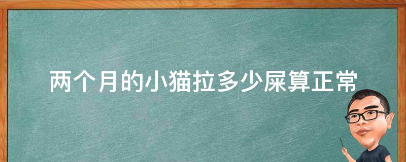 两个月的小猫拉多少屎算正常 两个月小猫拉粑粑什么样算正常