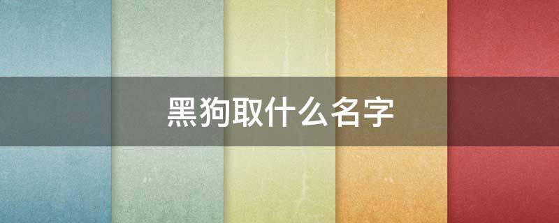 黑狗取什么名字 两只黑狗取什么名字