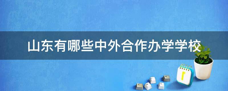 山东有哪些中外合作办学学校 山东工商学院中外合作办学和哪个国家