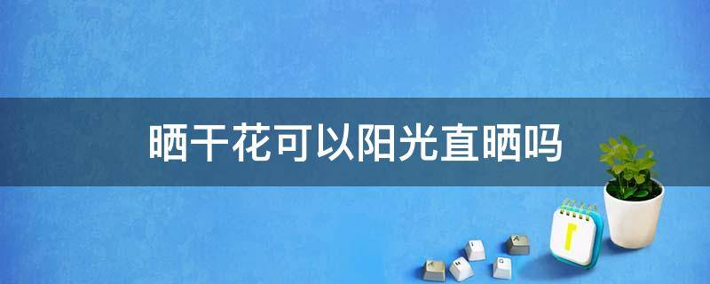 晒干花可以阳光直晒吗 晒干花可以晒太阳吗