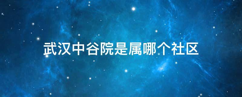 武汉中谷院是属哪个社区（武汉市中谷苑社区）