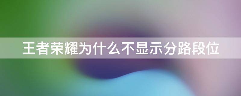 王者荣耀为什么不显示分路段位 王者荣耀为什么不显示分路段位排名