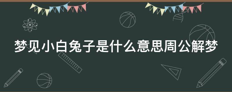 梦见小白兔子是什么意思周公解梦（梦见小白兔子是什么意思周公解梦女）