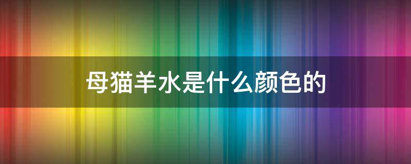 母猫羊水是什么颜色的 怎么判断母猫羊水是什么颜色