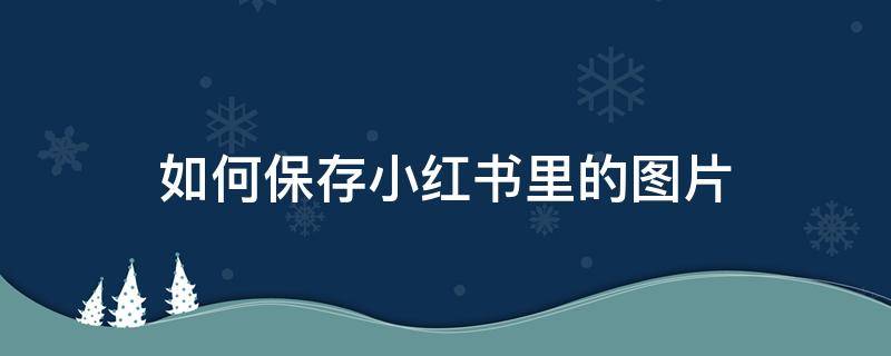 如何保存小红书里的图片 小红书里面怎么保存图片