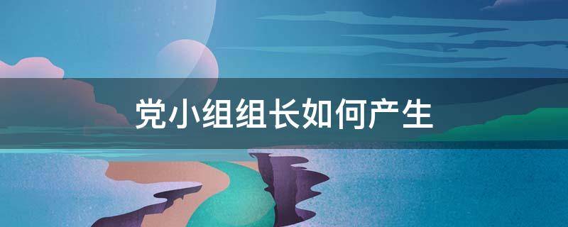 党小组组长如何产生（党小组组长怎样产生）