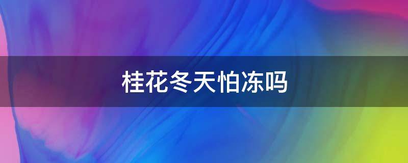 桂花冬天怕冻吗 桂花不怕冻吗