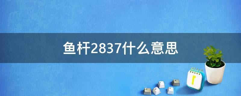 鱼杆2837什么意思 鱼竿上的1518什么意思