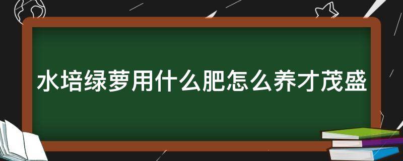 水培绿萝用什么肥怎么养才茂盛 水培绿萝用什么肥怎么养才茂盛呢视频