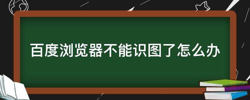 百度浏览器不能识图了怎么办 百度识图浏览器用不了