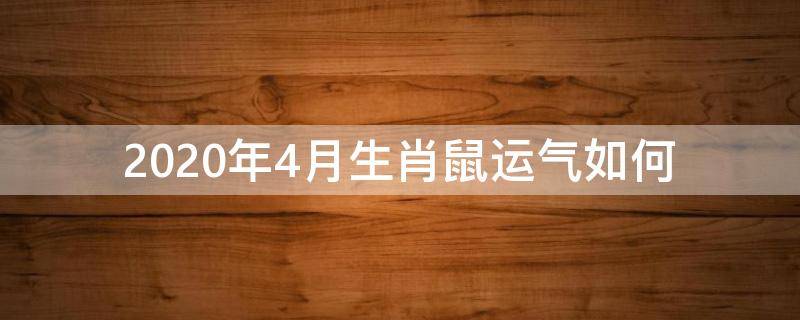 2020年4月生肖鼠运气如何 2020年4月属鼠是什么命