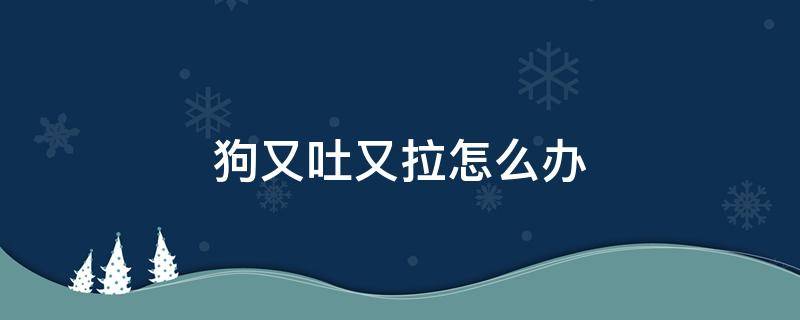 狗又吐又拉怎么办 狗子又拉又吐怎么办