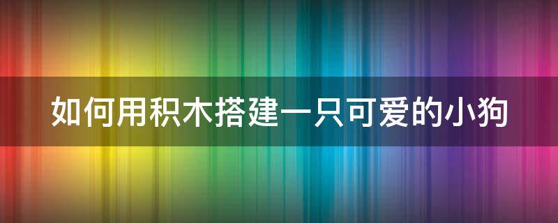 如何用积木搭建一只可爱的小狗（如何用积木搭建一只可爱的小狗视频）