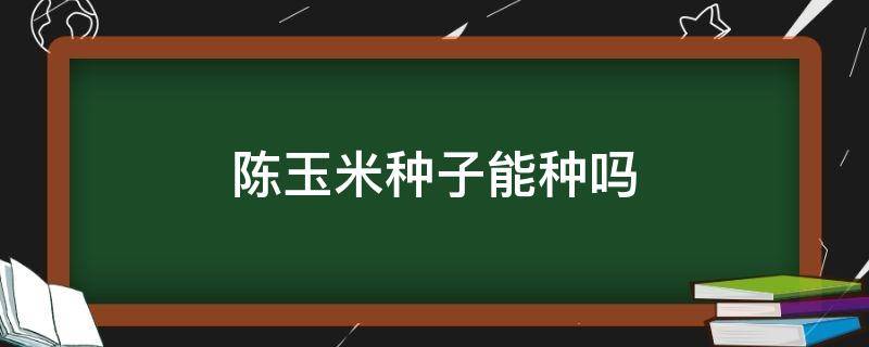 陈玉米种子能种吗 陈玉米种子可以种吗