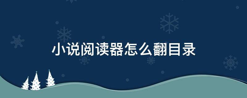 小说阅读器怎么翻目录（小说阅读器怎么打开目录）