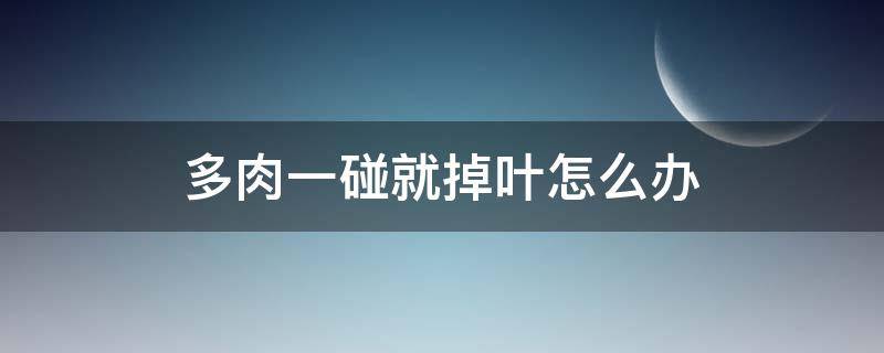 多肉一碰就掉叶怎么办 多肉一碰叶子全掉了