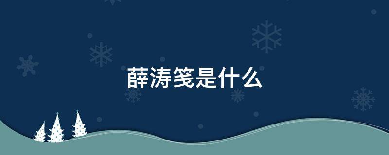 薛涛笺是什么（薛涛笺是什么颜色）