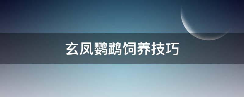 玄凤鹦鹉饲养技巧（玄凤鹦鹉的饲养方法及注意事项）