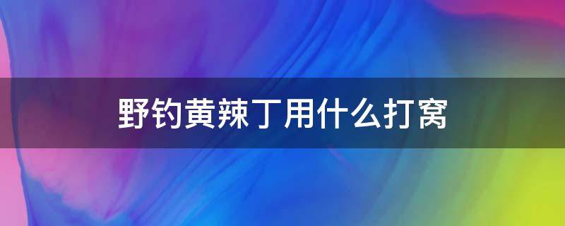 野钓黄辣丁用什么打窝（黄辣丁钓法和打窝）