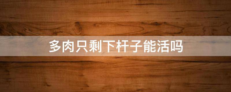 多肉只剩下杆子能活吗（多肉就剩杆了,还有救吗）