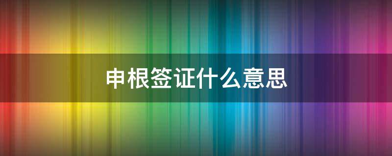 申根签证什么意思（申根签证啥意思）