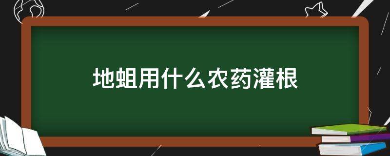 地蛆用什么农药灌根（黄瓜地蛆用什么药灌根）