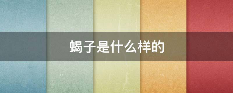 蝎子是什么样的（蝎子是什么样的?）