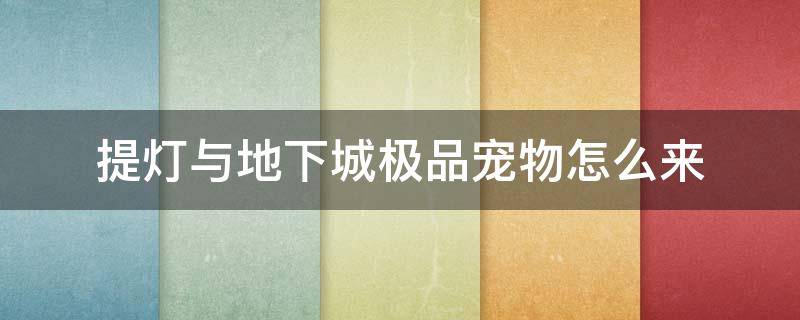 提灯与地下城极品宠物怎么来（提灯与地下城开出极品宠物）