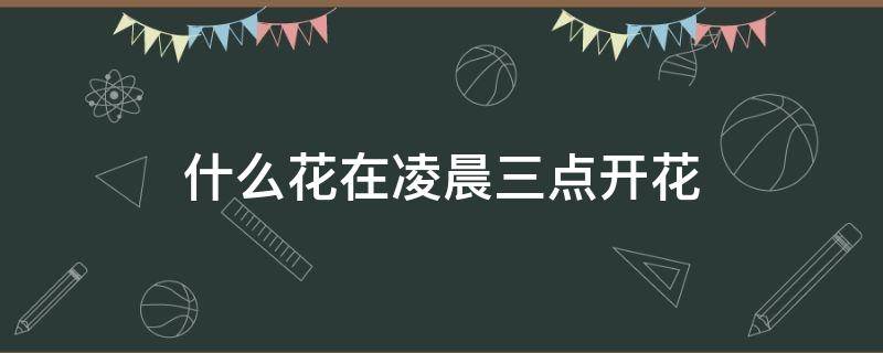 什么花在凌晨三点开花（什么花凌晨3点开花）