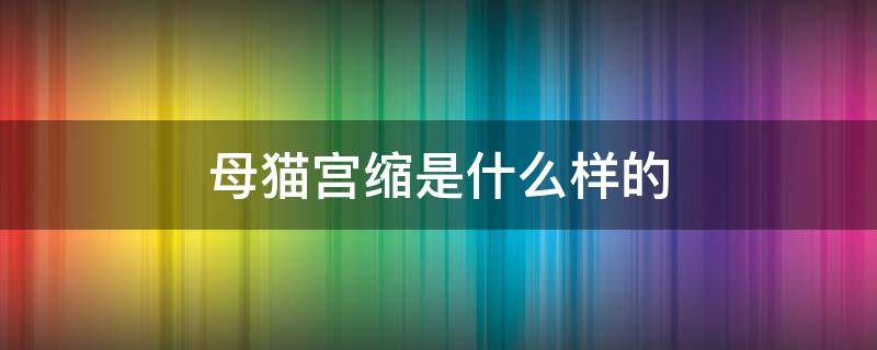 母猫宫缩是什么样的 母猫宫缩是怎么样的