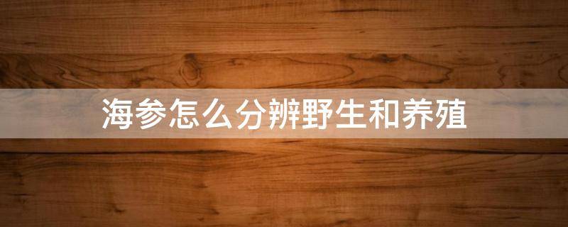 海参怎么分辨野生和养殖 海参怎么分辨野生和养殖图片