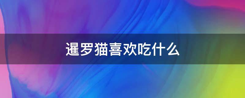 暹罗猫喜欢吃什么（暹罗猫喜欢吃什么食物）