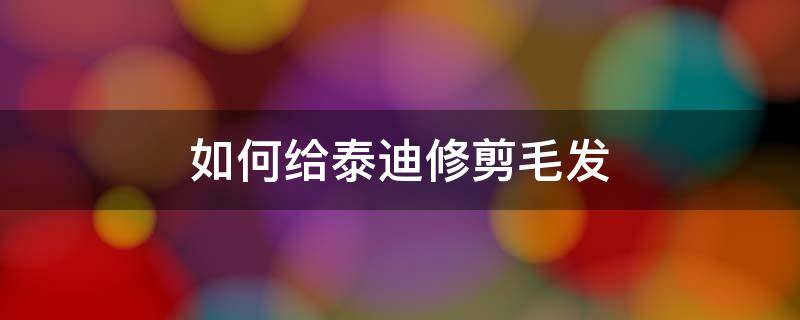 如何给泰迪修剪毛发（怎么给泰迪修剪毛发）