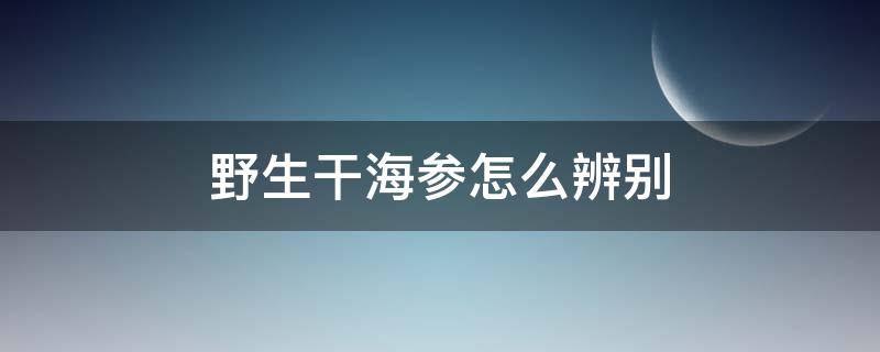 野生干海参怎么辨别（怎么区分干海参是不是野生的）