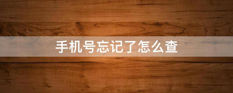 手机号忘记了怎么查（之前手机号忘记了怎么查）