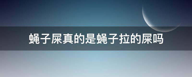 蝇子屎真的是蝇子拉的屎吗 蝇子拉的屎是蛆吗