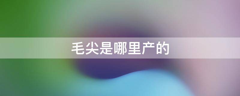 毛尖是哪里产的 都匀毛尖是哪里产的