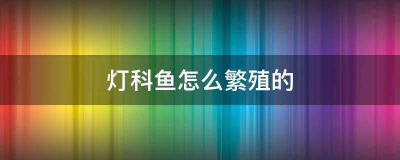 灯科鱼怎么繁殖的（哪些灯科鱼是可以自我繁殖的）