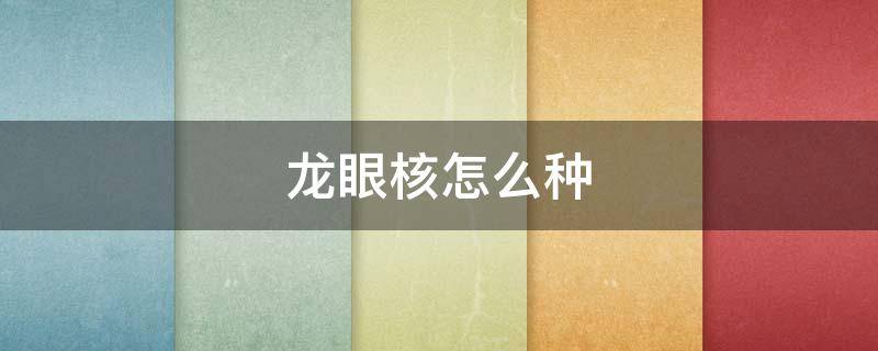 龙眼核怎么种（龙眼核怎么种植）