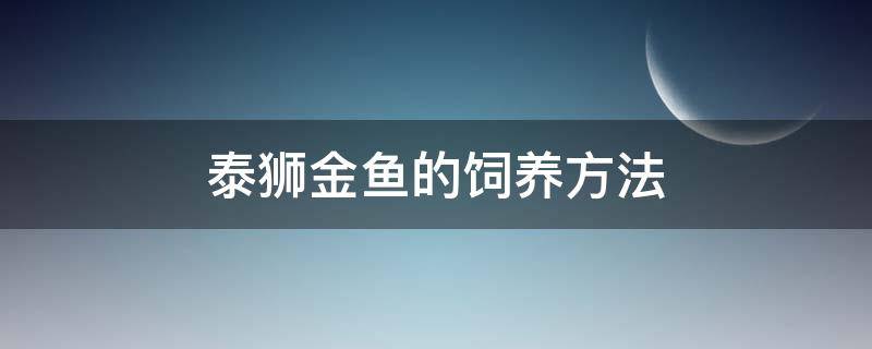 泰狮金鱼的饲养方法（泰狮金鱼的饲养方法养还是兰寿好养）